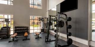 Citron at the Packing District Gallery 44