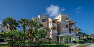 Amberjack Cir 8581 #301 Gallery 1