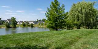 Carson Farms Gallery 24