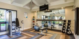 Avana at the Pointe Gallery 23