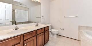 21759 LADYSLIPPER Square Gallery 20