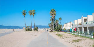 8710 Delgany Gallery 33