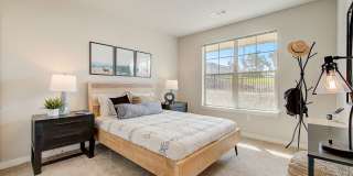 Authentix Greeley Gallery 18