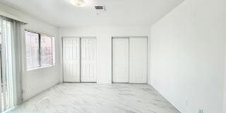 PS T 66369 Gallery 18