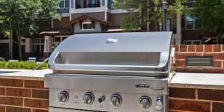 Terrawood Gallery 17