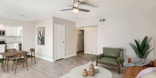 Rise Skyview Gallery 22