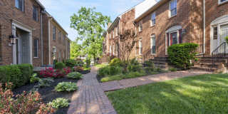 236 Chippendale Circle Gallery 2