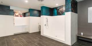 Canvas on Blake Gallery 25