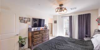 6816 Citron Mist Court Gallery 19