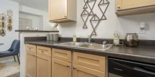 Coleman Canal Winchester Gallery 37