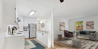 ReNew Oakridge Gallery 2
