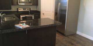 Brand New 3 Bed 2 Bath Condo! Gallery 3