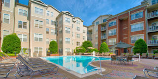 Windsor at Liberty House Gallery 3