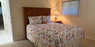 Lovely One-Level Furnished Home with Private Pool in Port Royal! Gallery 38