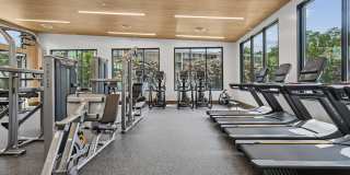 Halpine View Gallery 25