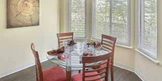 Forest Hill Village Gallery 26