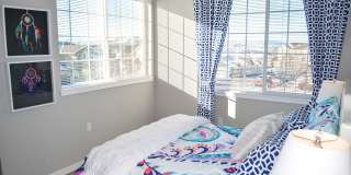 Black Feather Gallery 11