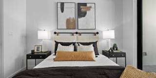 Aster & Links Gallery 73