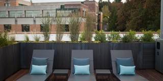 TreeHouse Gallery 15