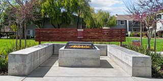 The Alexandar Gallery 22