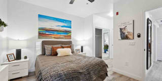 Zone Gallery 15