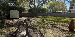 3 BR/1BA | Newly Renovated Single Family Home | Gated backyard | In South Tampa! Gallery 16