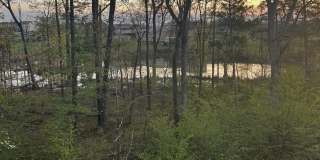 42482 DOGWOOD GLEN Square Gallery 31
