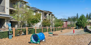 Vue Issaquah Gallery 20