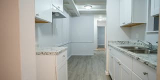 Chestnut Flatz Gallery 3