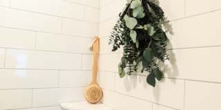 Wren on the Creek Gallery 17