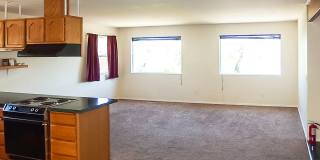 Hard to Find! Pet friendly home with attached garage in Moscow Gallery 15