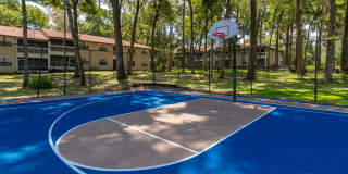 Carrington Lane Gallery 29