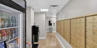 7441 Wayne Avenue Gallery 30