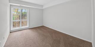 The Forest Apartments Gallery 9