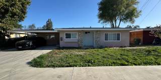 9010 PAINTER 9010 PAINTER Gallery 1