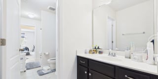 1379 Corey Cabin Court Gallery 21