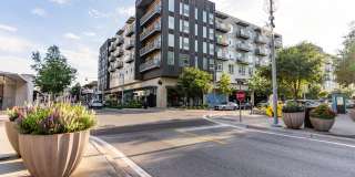 The Standard at Domain Northside Apartments Gallery 1