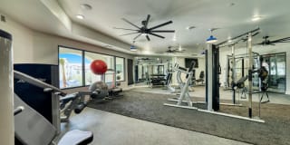 The Riley Gallery 15