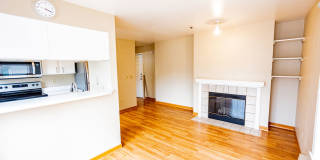 1 Bed 1 Bath Condo in Capitol Hill Gallery 4