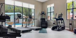 Waterleaf at Salt Creek Gallery 27