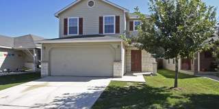 8306 Apricot Bloom Gallery 1