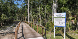 Grand Cypress Gallery 42