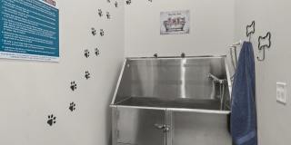 The Annex of Bozeman Gallery 20