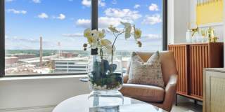 The Novus Apartments Gallery 11