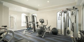 The Lex On Central Gallery 14