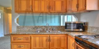 Bright & Peaceful Minnehaha Home Gallery 8