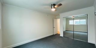 vet182 Gallery 18