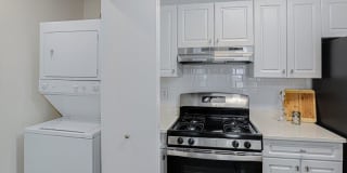 Town Walk at Hamden Hills Gallery 12