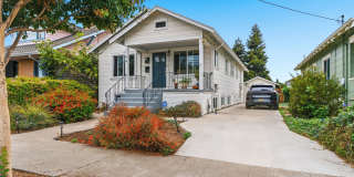 1hahar Gallery 1