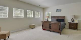 6087 PINEY WOODS CT Gallery 14